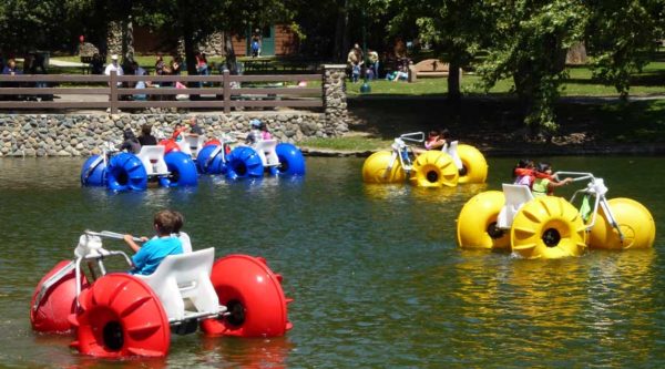 Many big wheeled Aqua-Cycle™ Water Trikes at a pond at a city park.